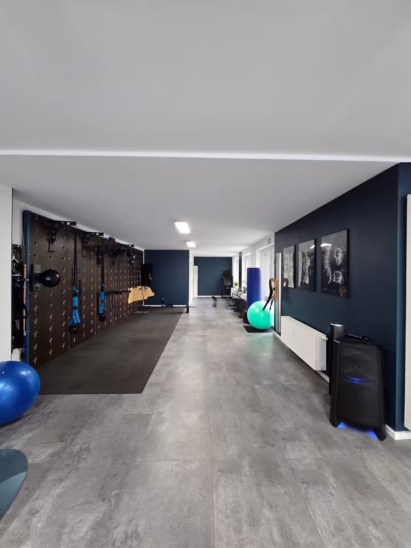 Trainingsfläche mit Sling-Trainer und Functional-Rig bei Define Fitness Düsseldorf-Flingern